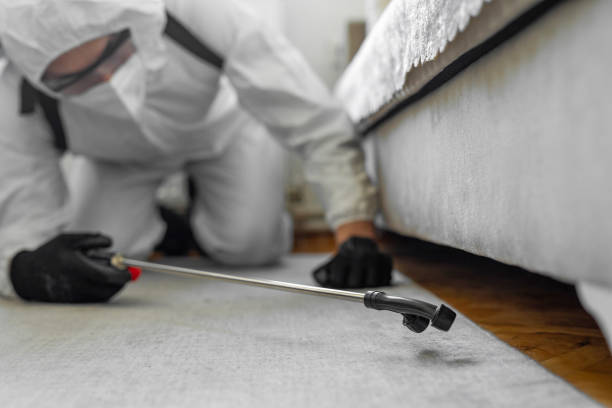 Professional Termite Control technician working in Brackettville, TX