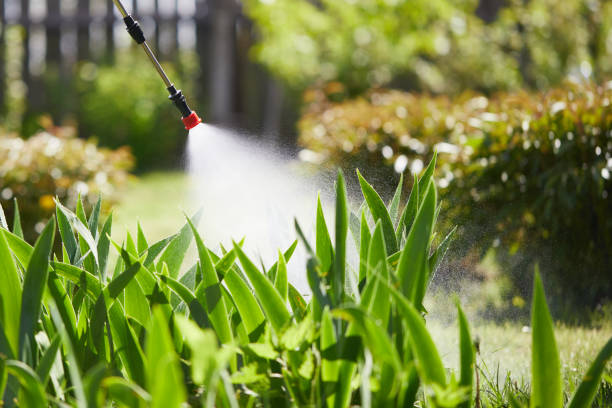 24/7 Emergency Termite Control experts in Brackettville, TX