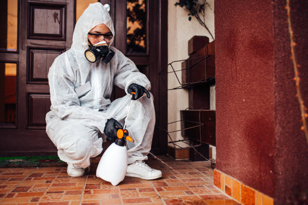 Reliable Termite Control contractor in Brackettville, TX by Nex Pest Control