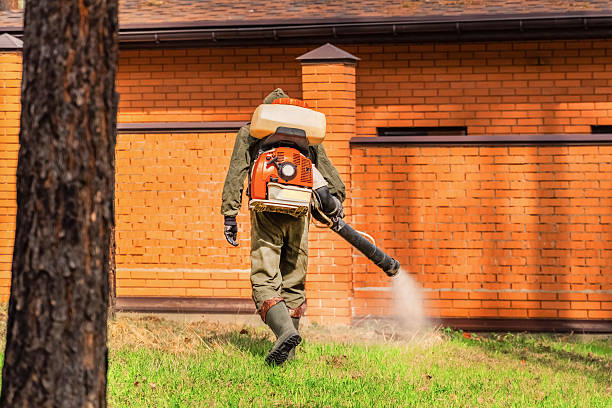 Trusted Bed Bug Control service in Brackettville, TX - Nex Pest Control